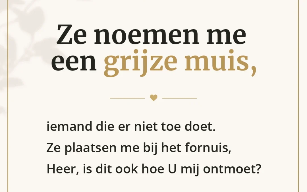 De grijze muis