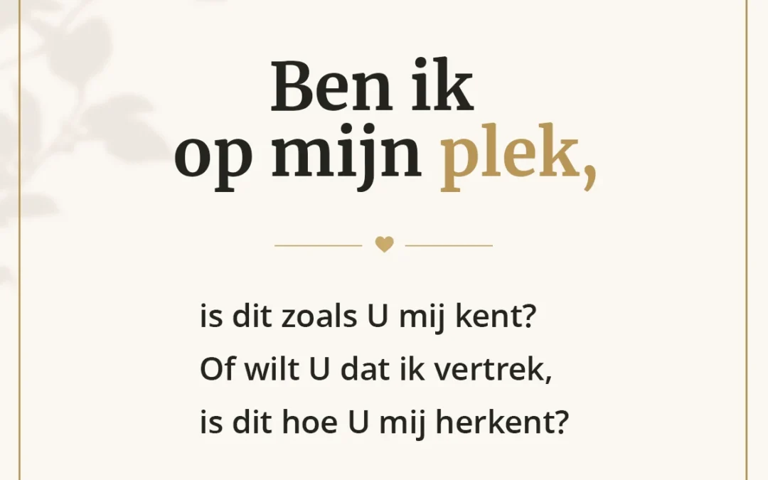 Op mijn plek